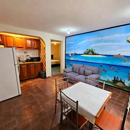 Scuba House! San Miguel, Cozumel Apartment